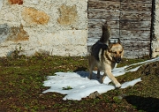 30 con l'attiguo ricovero per le mandrie...